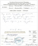 Превью фото № 203407