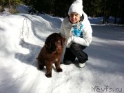 Превью фото № 203410