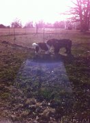 Превью фото № 203437