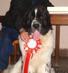 Превью фото № 20346