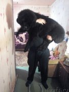 Превью фото № 203467