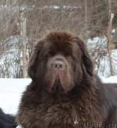 Превью фото № 203472