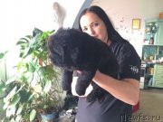 Превью фото № 203522