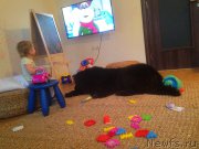 Превью фото № 203529