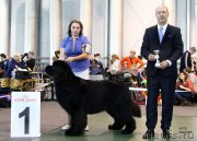 Превью фото № 203555