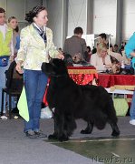 Превью фото № 203572