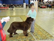 Превью фото № 203621