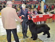 Превью фото № 203623