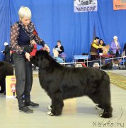 Превью фото № 203628