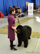 Превью фото № 203629