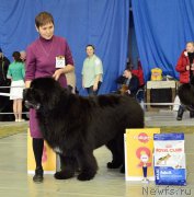 Превью фото № 203630