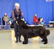 Превью фото № 203633