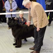 Превью фото № 203634