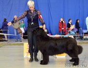 Превью фото № 203635