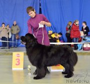 Превью фото № 203642