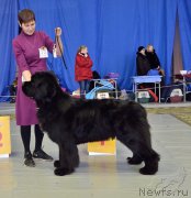 Превью фото № 203645