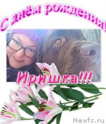 Превью фото № 203647