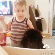 Превью фото № 203716