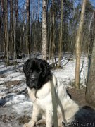 Превью фото № 203752