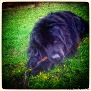 Превью фото № 203779