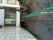 Превью фото № 203783