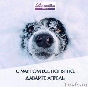 Превью фото № 203798