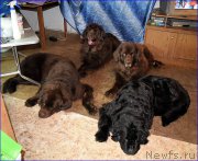 Превью фото № 203857