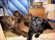 Превью фото № 203858