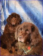 Превью фото № 203859