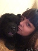 Превью фото № 204008