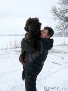 Превью фото № 204010