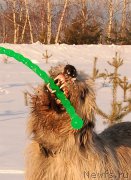 Превью фото № 204013