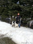 Превью фото № 204020