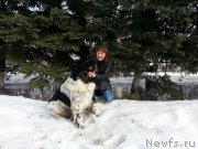 Превью фото № 204021