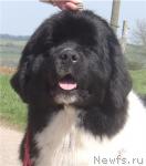 Превью фото № 20415