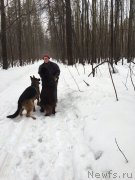 Превью фото № 204244