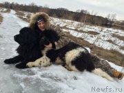 Превью фото № 204299