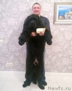 Превью фото № 204329