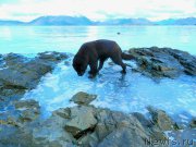 Превью фото № 204330