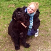 Превью фото № 204358