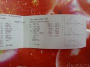 Превью фото № 204427