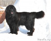 Превью фото № 204450