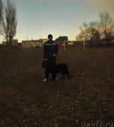 Превью фото № 204451