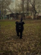 Превью фото № 204452