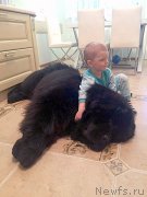 Превью фото № 204548