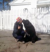 Превью фото № 204552