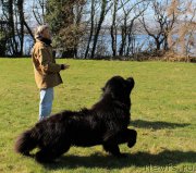 Превью фото № 204554