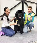 Превью фото № 204643