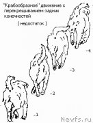 Превью фото № 204678