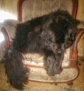 Превью фото № 204683